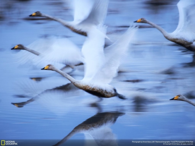 To Live, second place, category nature