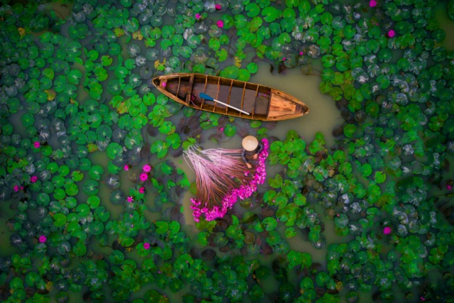 2nd Prize Winner – Category People: Waterlily by helios1412